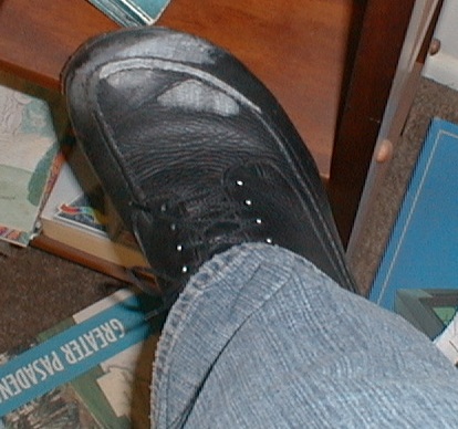 [photo of my shoes]